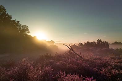 Nationaal Park Dwingelderveld, Camping Kolderkamp